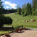 Austrian Alps - Haus Kienreich 3*