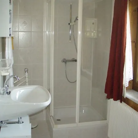 Austrian Alps - Haus Kienreich Guest house