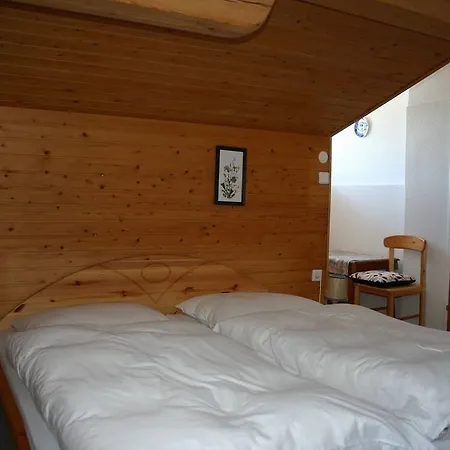 Austrian Alps - Haus Kienreich Guest house Altenmarkt im Pongau