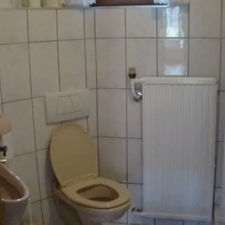 Austrian Alps - Haus Kienreich Guest house