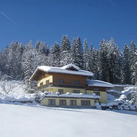 Austrian Alps - Haus Kienreich 3*