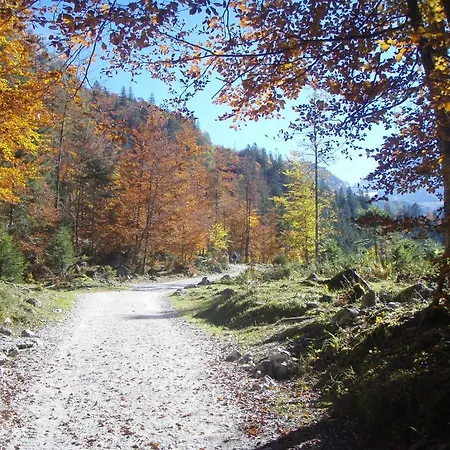 Austrian Alps - Haus Kienreich Guest house Altenmarkt im Pongau