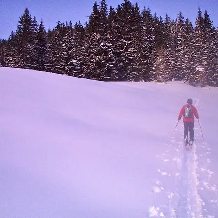 Austrian Alps - Haus Kienreich Guest house