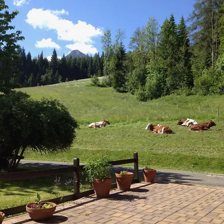 Austrian Alps - Haus Kienreich 3*