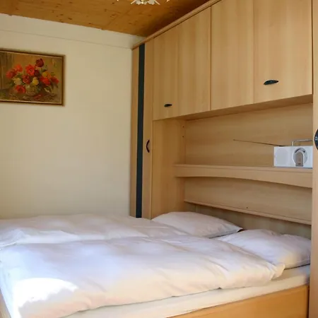 Austrian Alps - Haus Kienreich Guest house