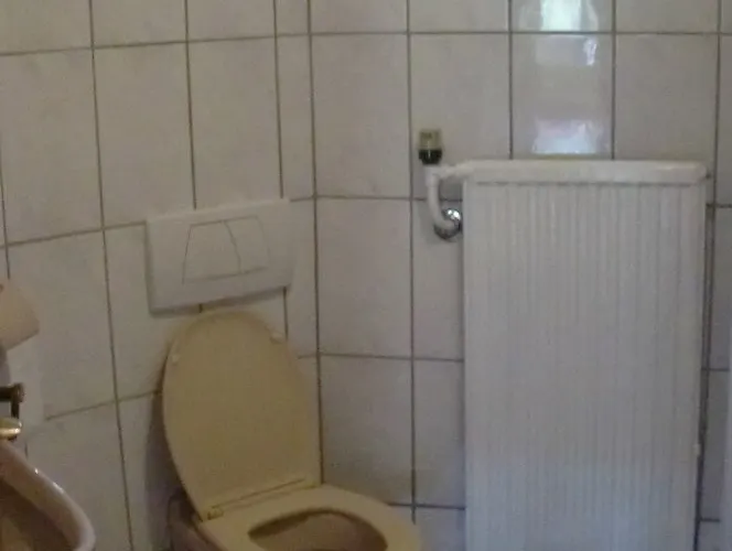 Austrian Alps - Haus Kienreich ゲストハウス