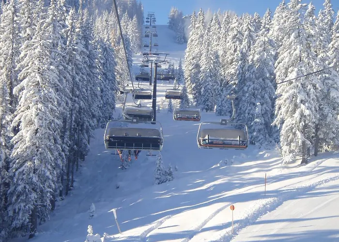 ゲストハウス Austrian Alps - Haus Kienreich アルテンマルクト・イム・ポンガウ