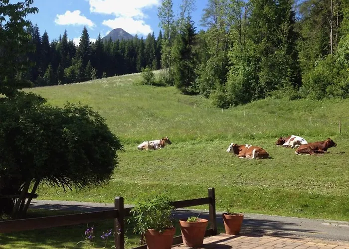 Austrian Alps - Haus Kienreich 3*